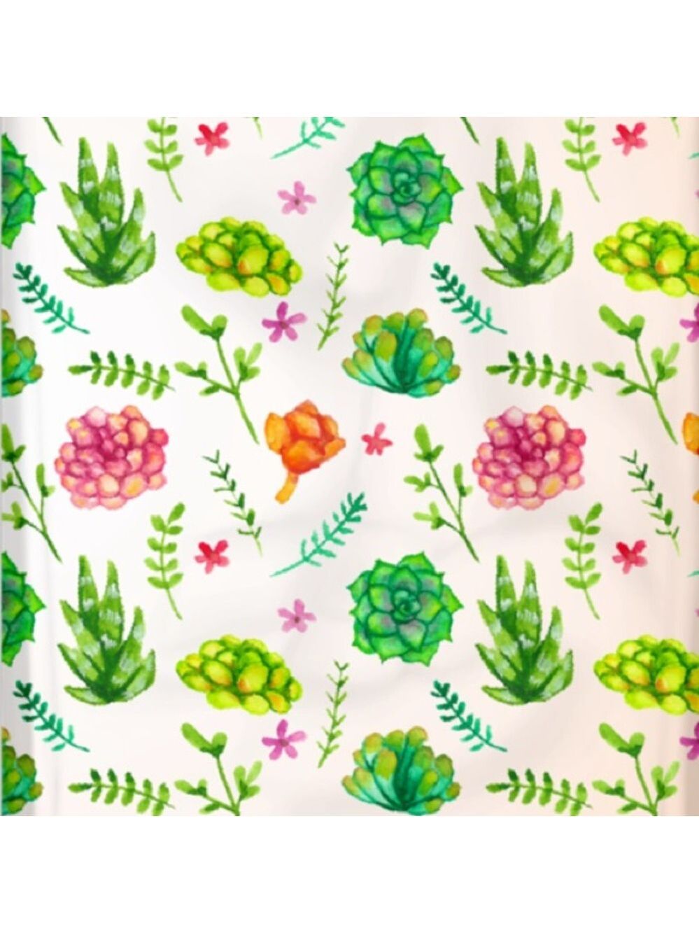25 10X13 Poly Mailers Succulents  Shipping Envelopes PRICE IS FIRM - Picture 11 of 11
